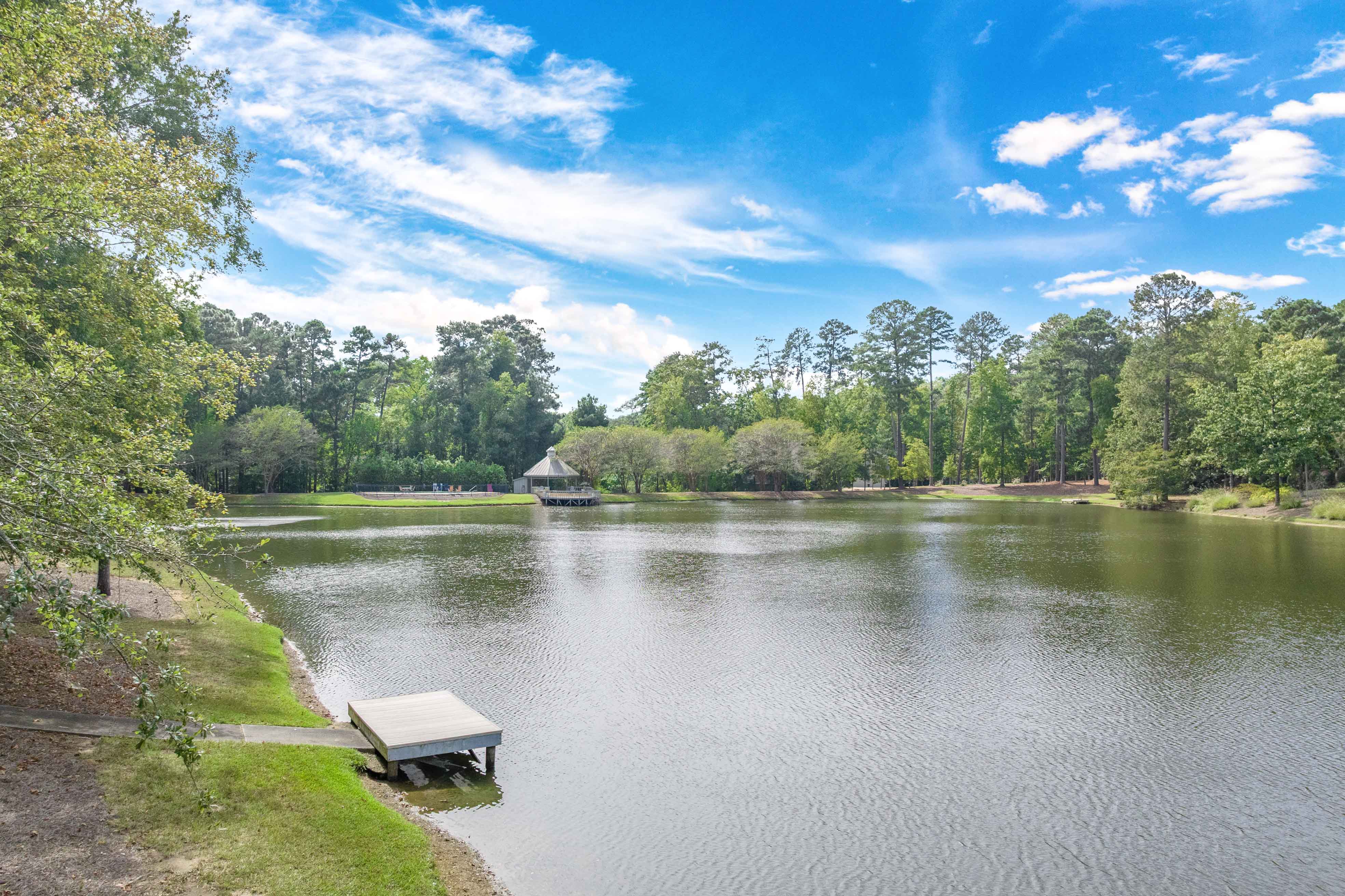 1011 Penfield Way image 56